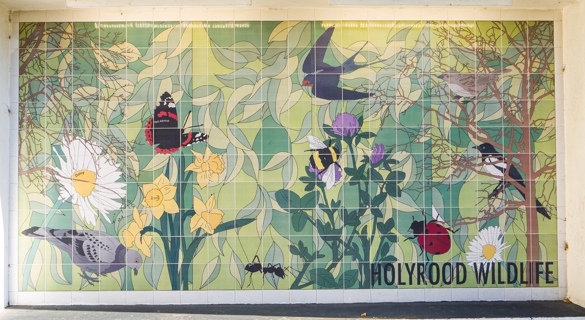 Holyrood Wildlife Mural 1