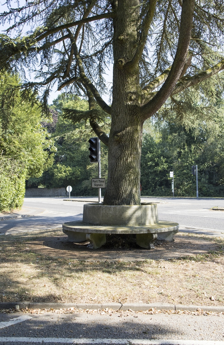 Memorial Seat