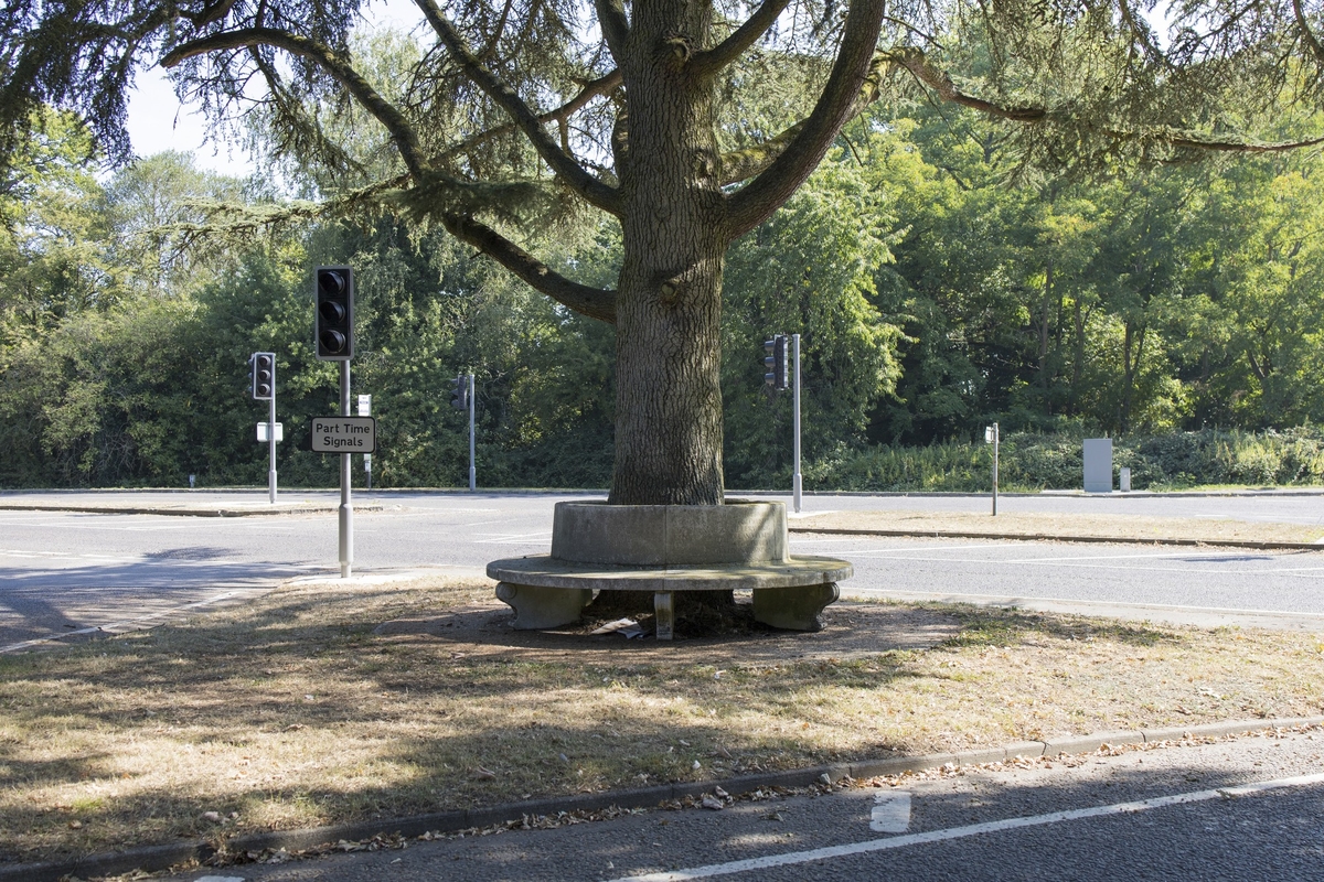 Memorial Seat