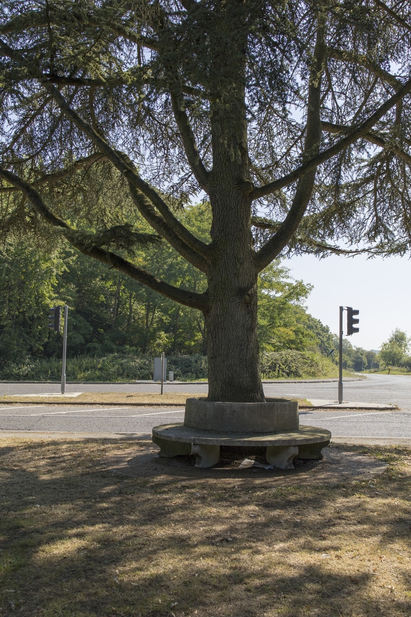 Memorial Seat