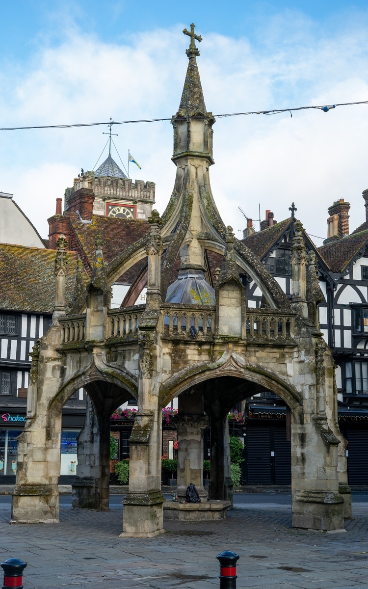 Poultry Cross