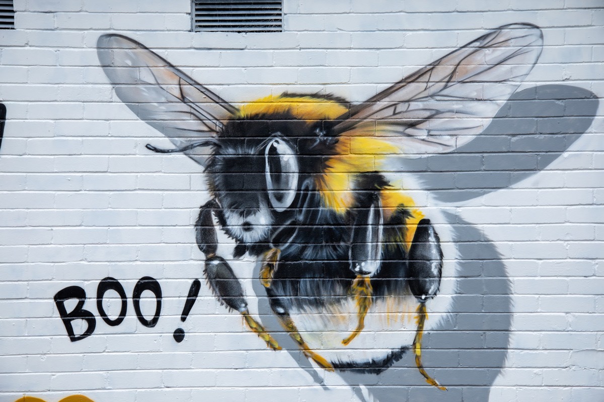 I Heart Bees