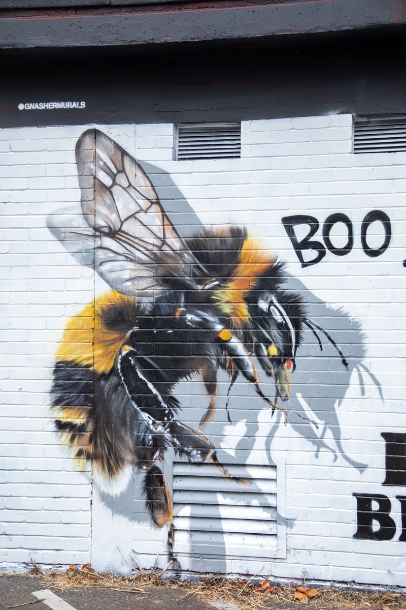 I Heart Bees