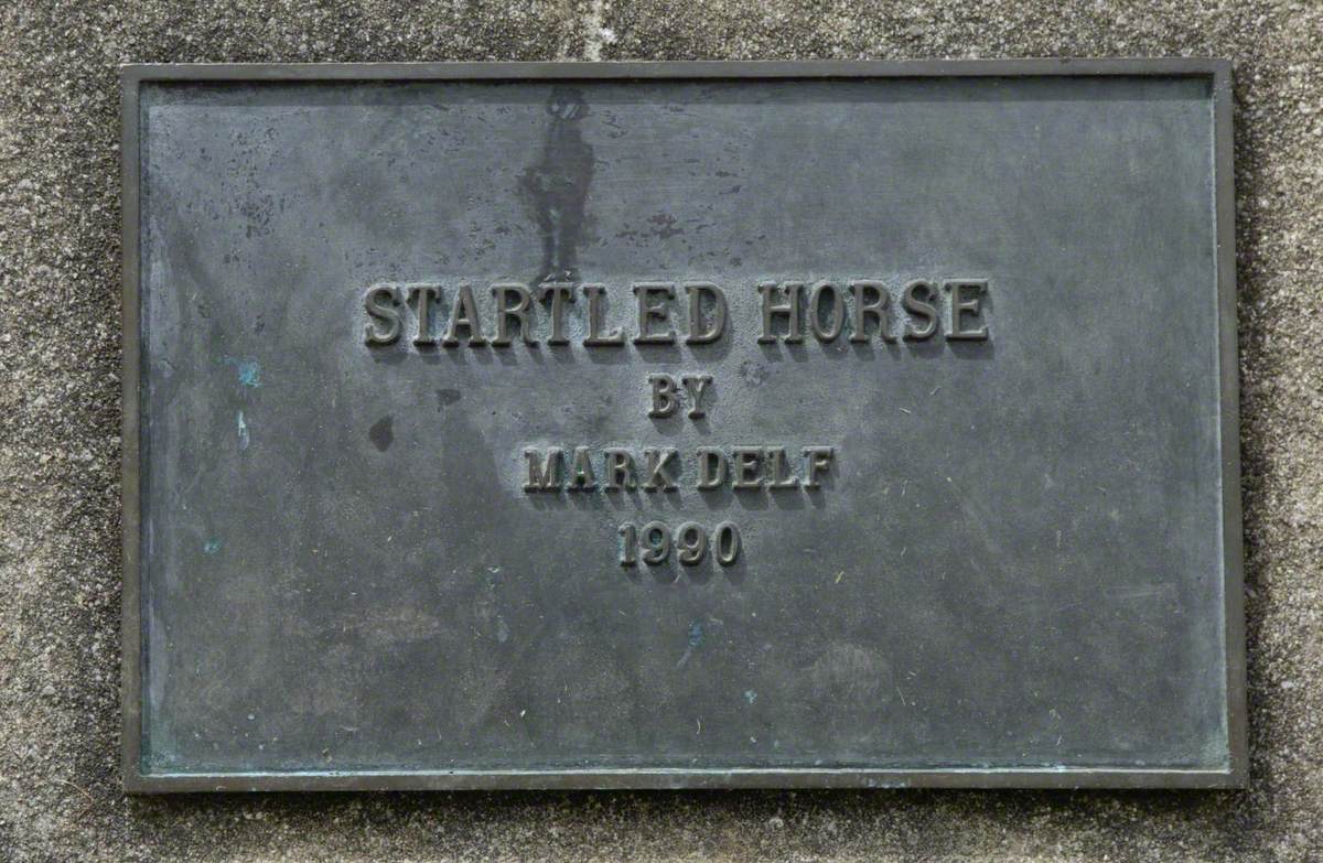 Startled Horse