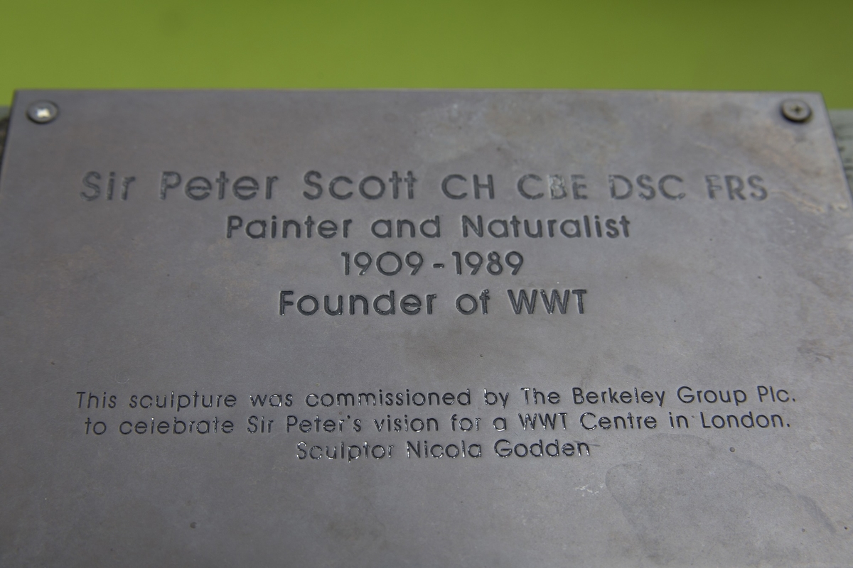Peter Scott (1909–1989)
