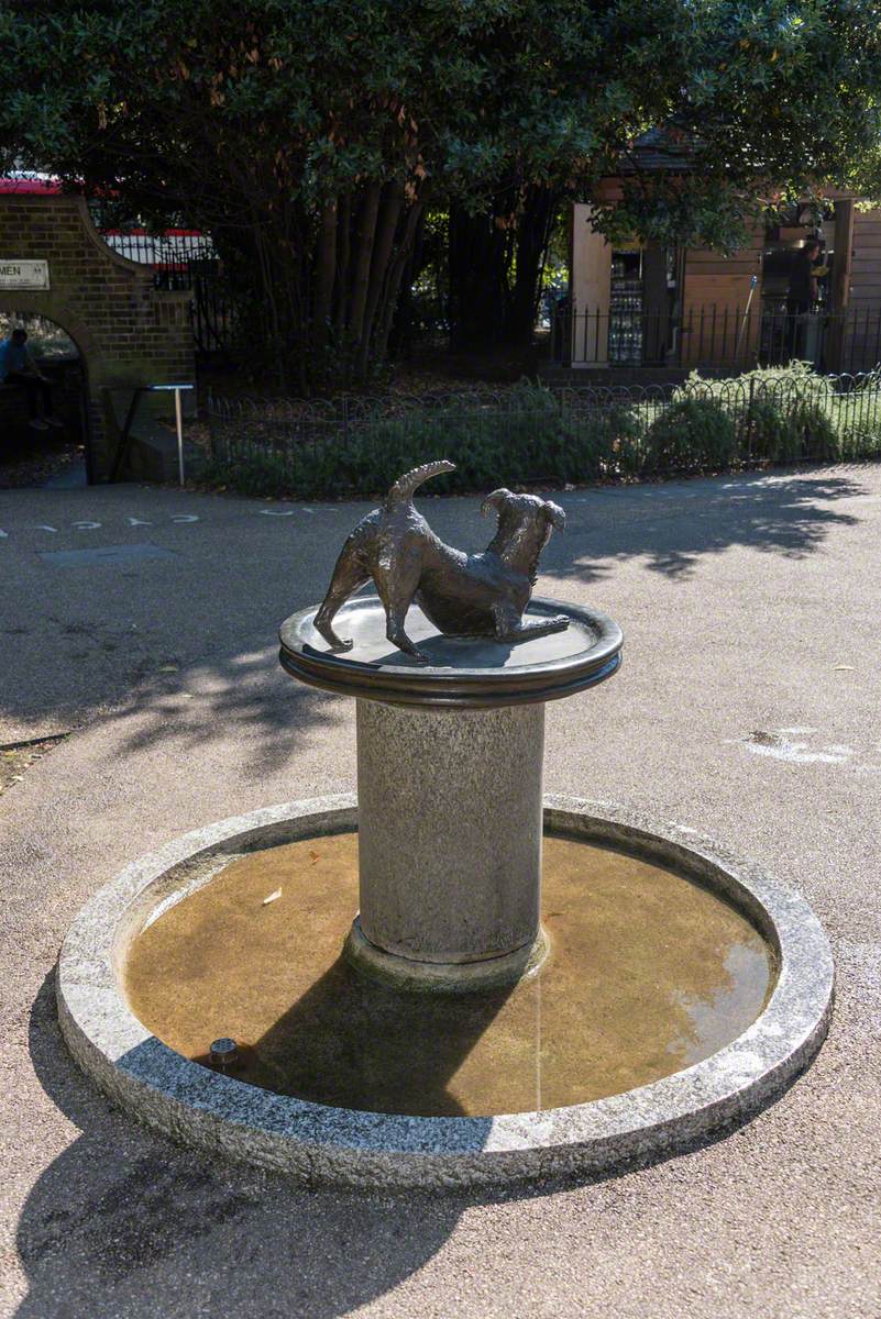 Fountain clearance of dogs