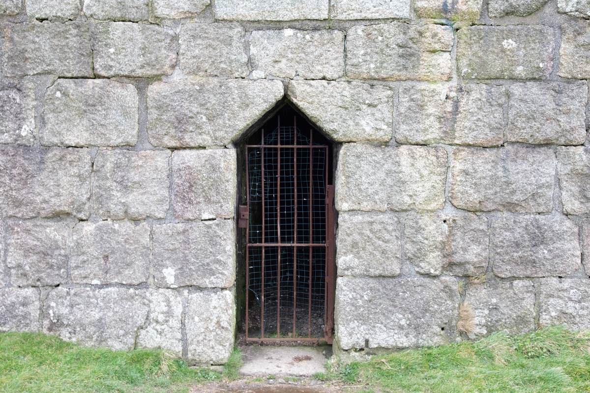 Basset Monument (Dunstanville Monument)