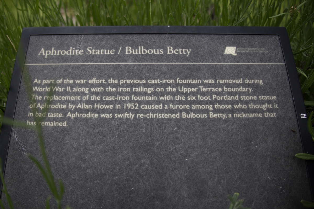 Aphrodite (Bulbous Betty)
