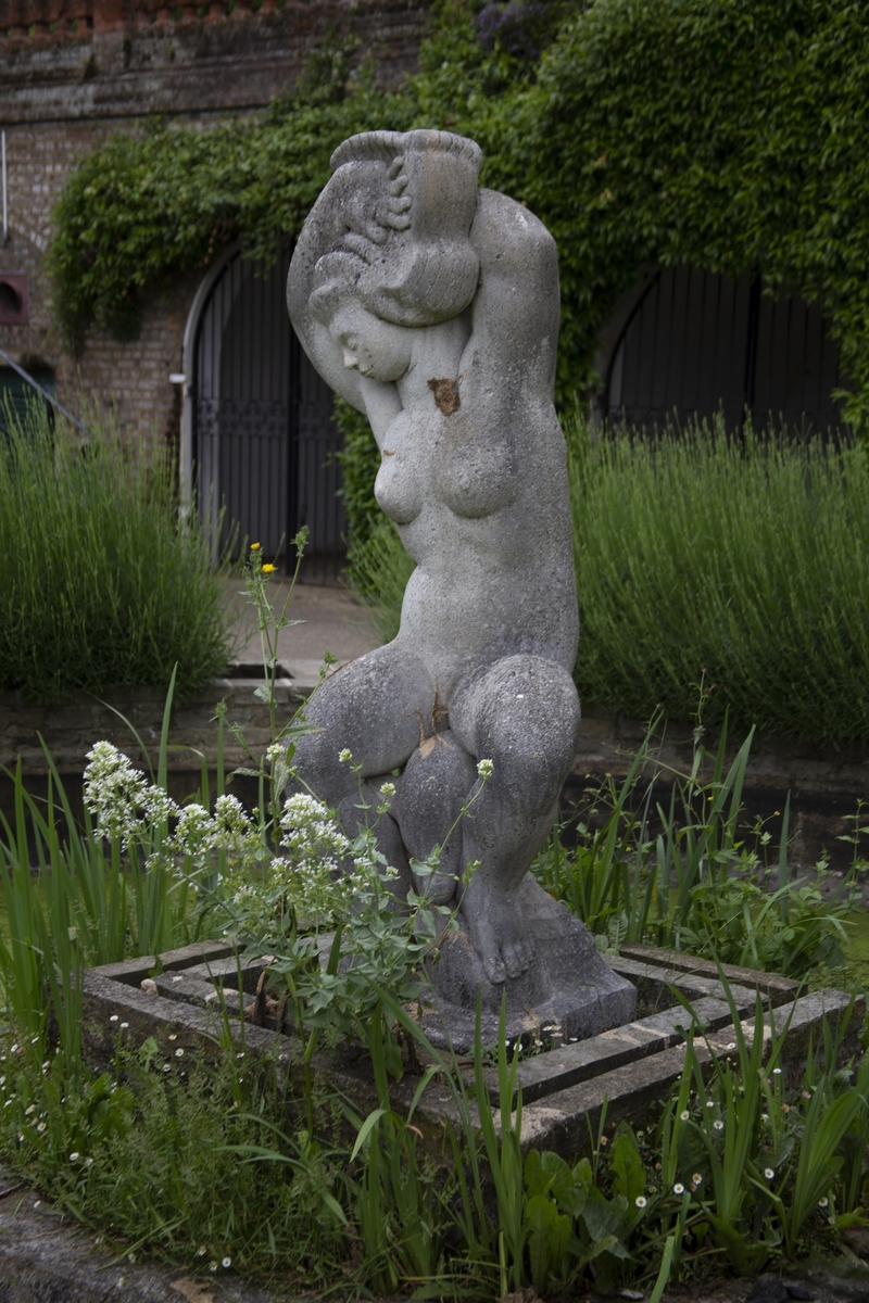 Aphrodite (Bulbous Betty)