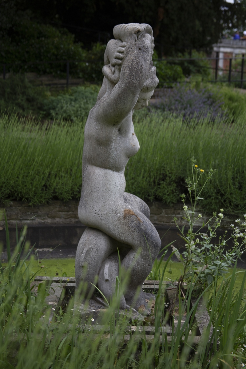 Aphrodite (Bulbous Betty)