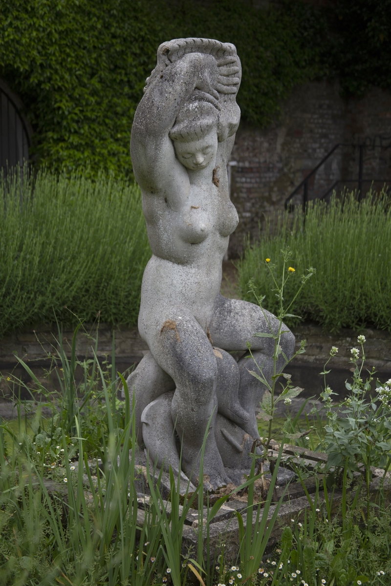 Aphrodite (Bulbous Betty)