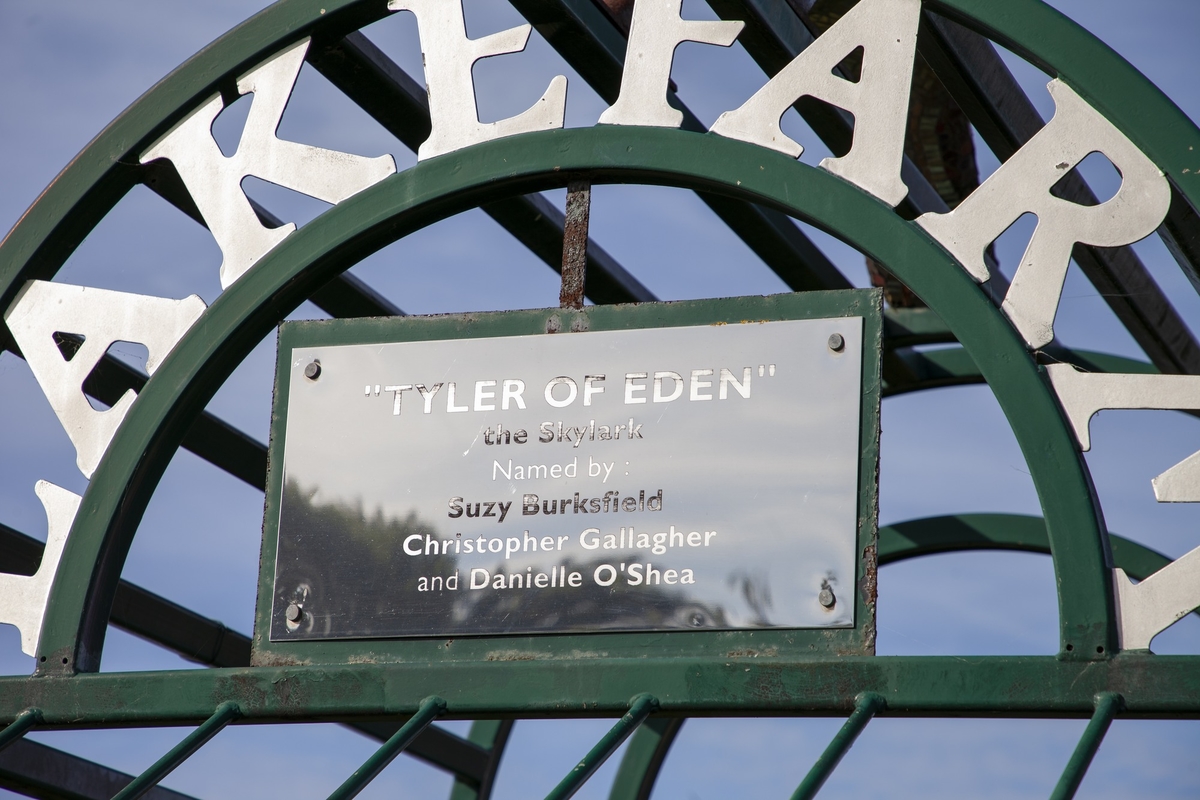 Tyler of Eden (The Skylark)