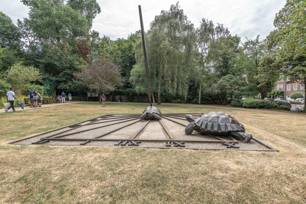 Tortoises with Triangle and Time