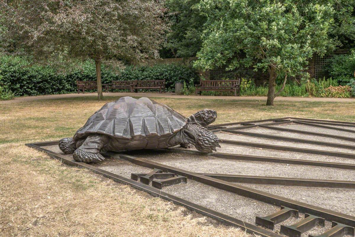 Tortoises with Triangle and Time