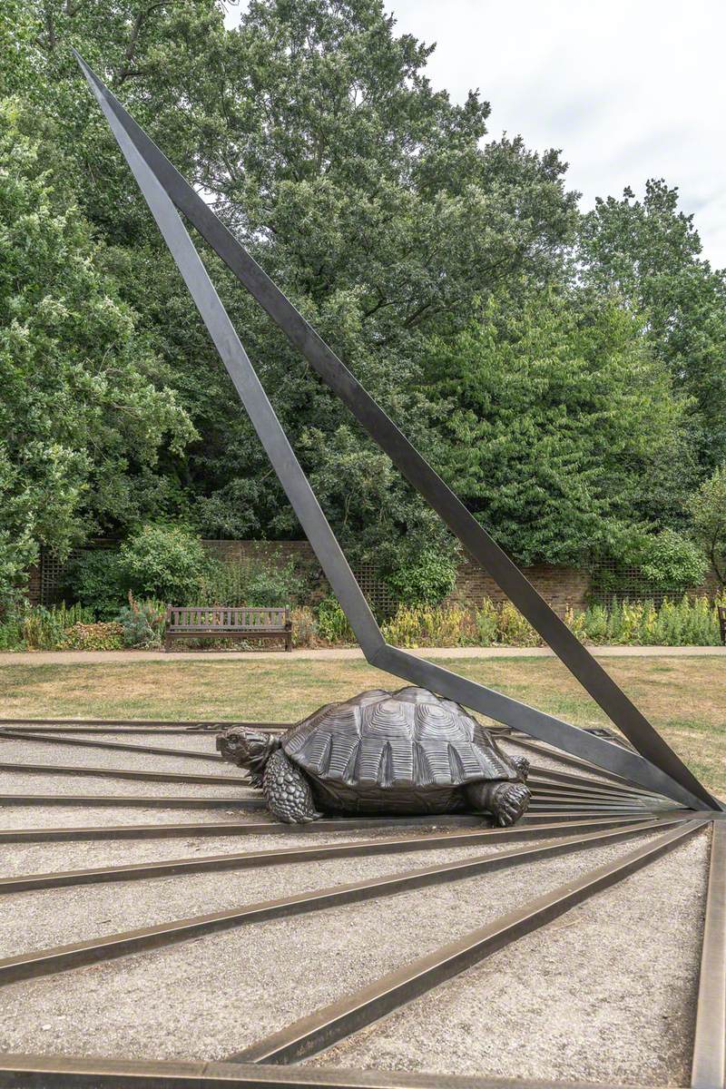 Tortoises with Triangle and Time