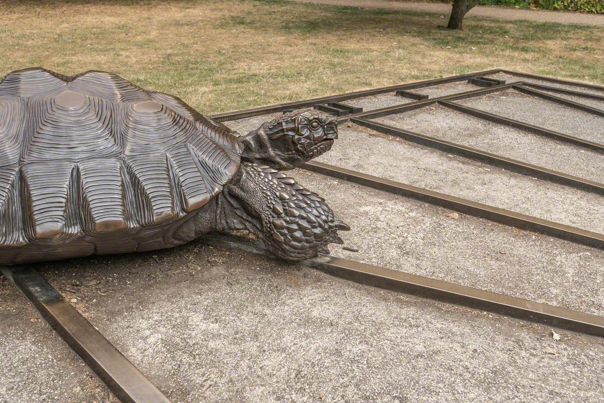 Tortoises with Triangle and Time