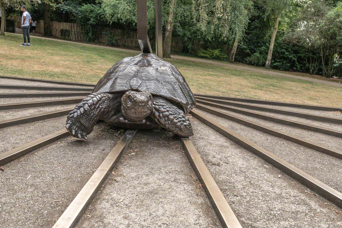 Tortoises with Triangle and Time