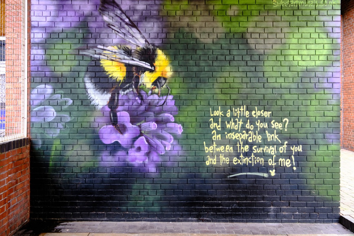 Bee