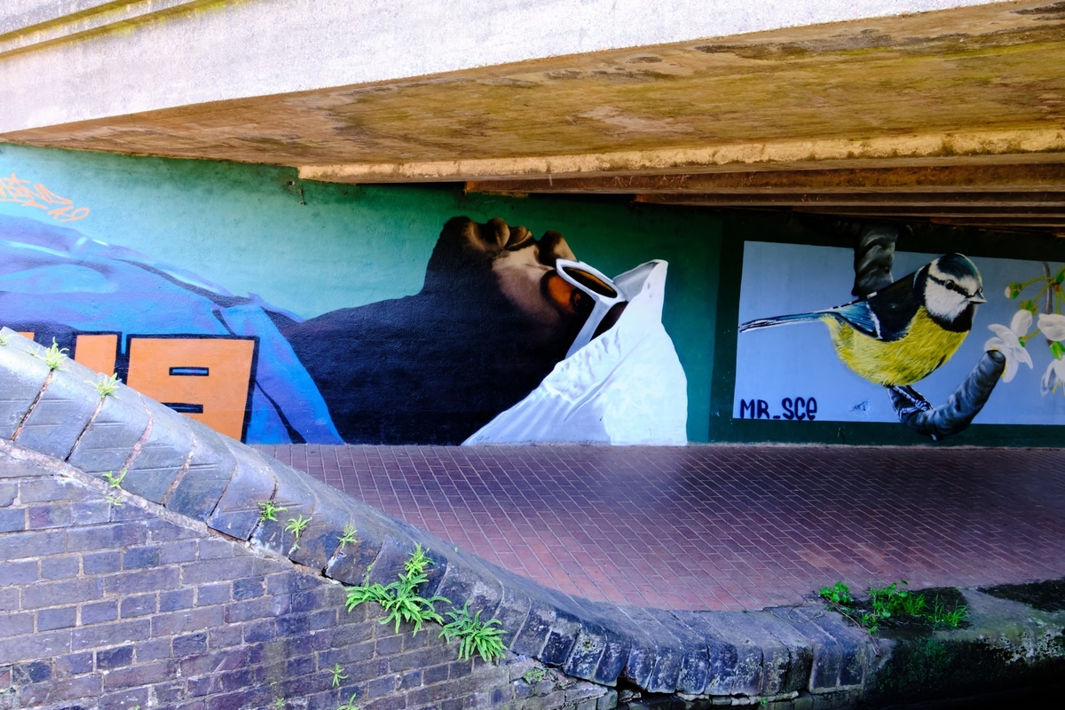 Bilford Road Canal Footpath