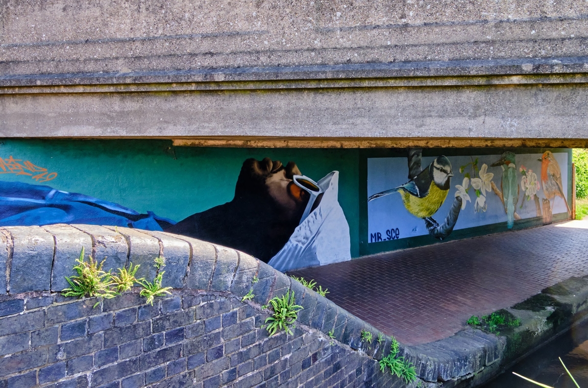 Bilford Road Canal Footpath