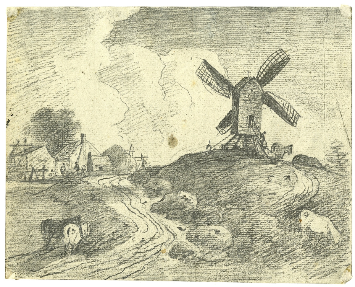 Windmill and Cows