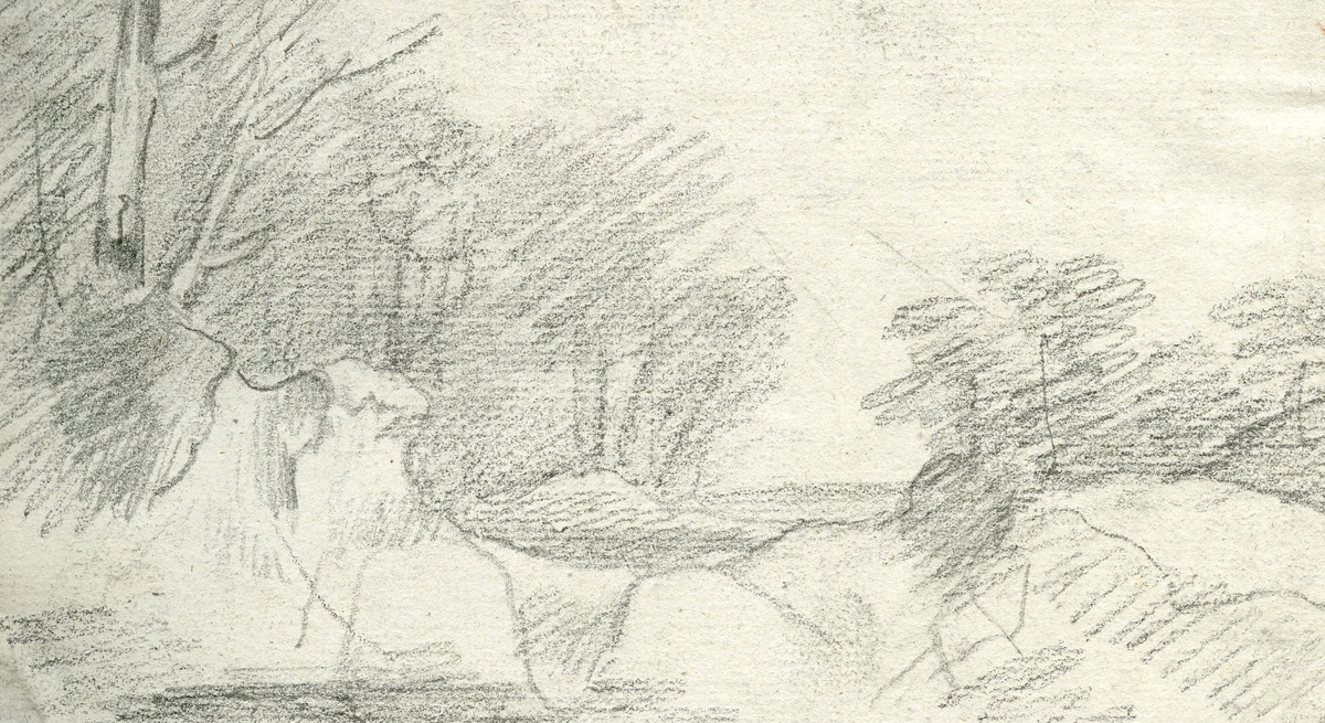 Landscape with Trees