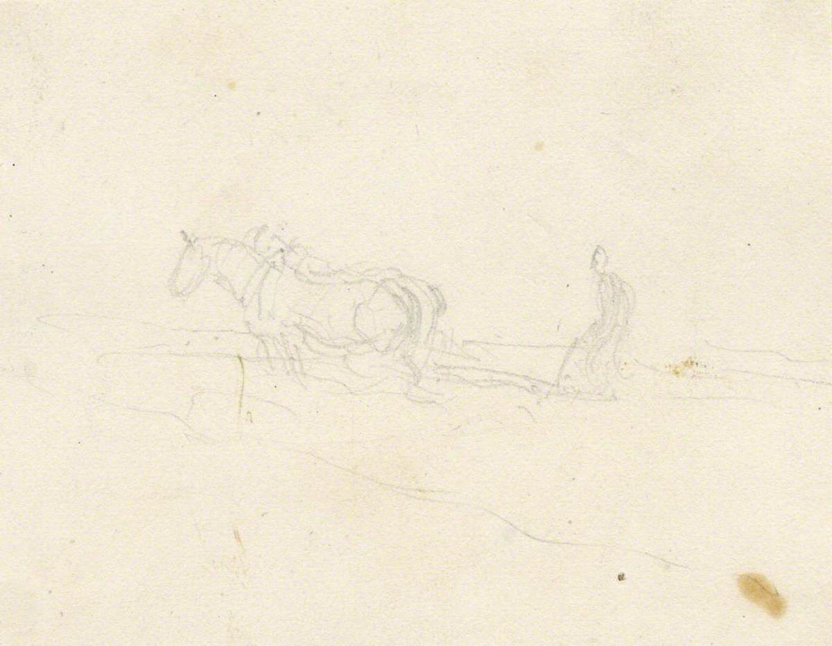 Horse Drawing Plough