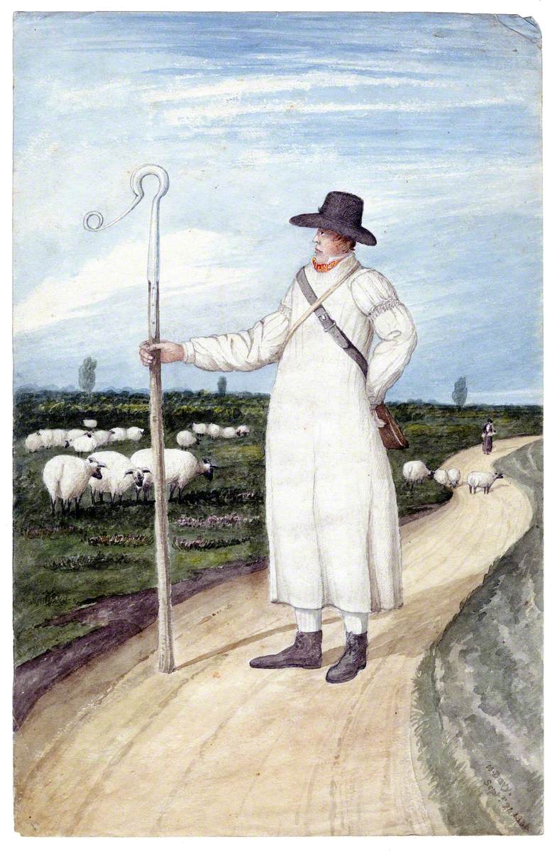 A Shepherd and Flock