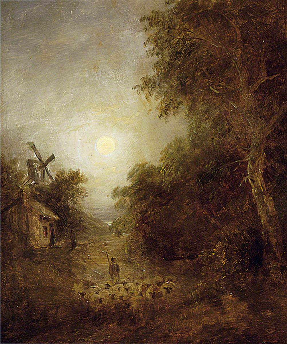 Evening Landscape