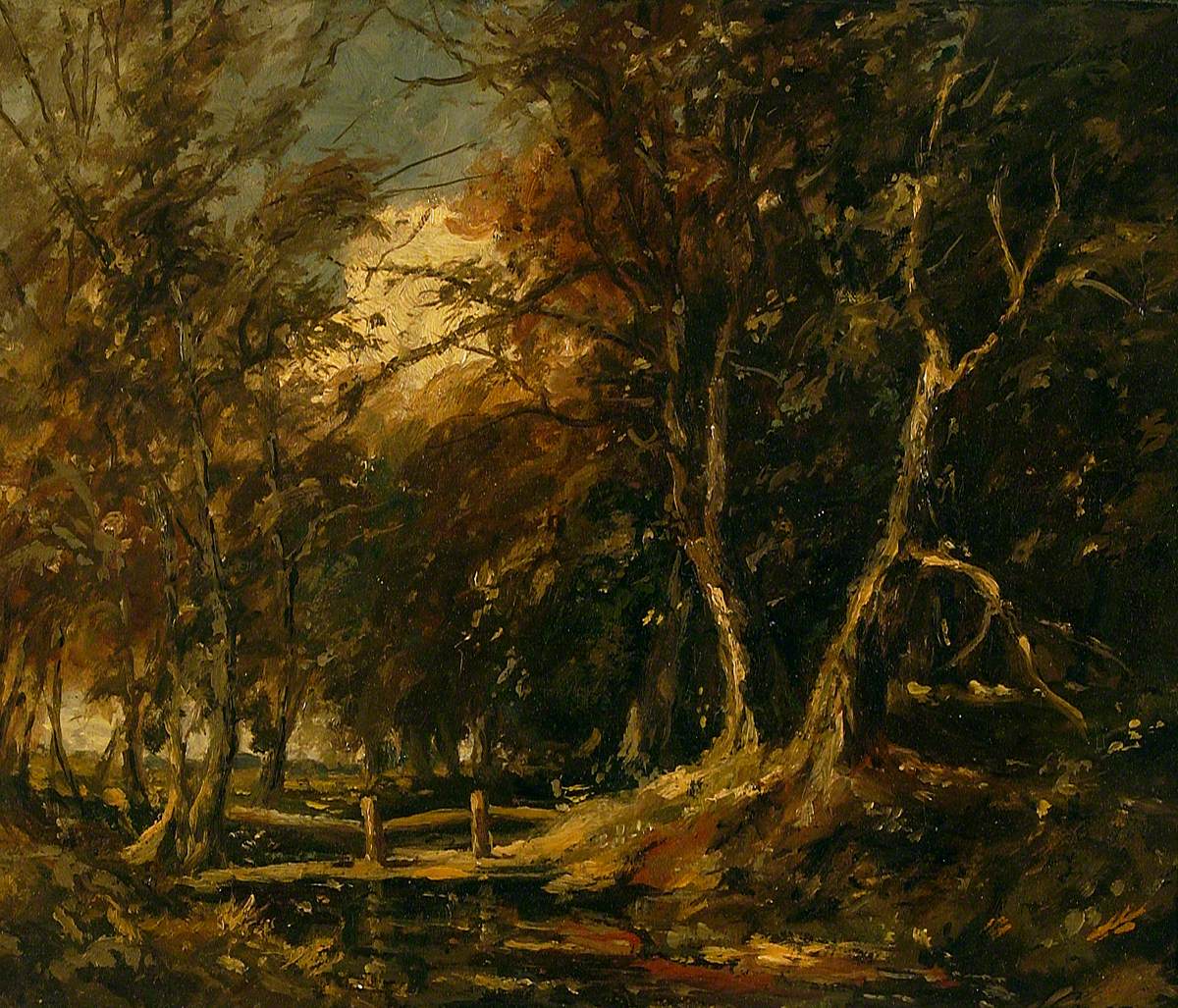 A Wood in Autumn