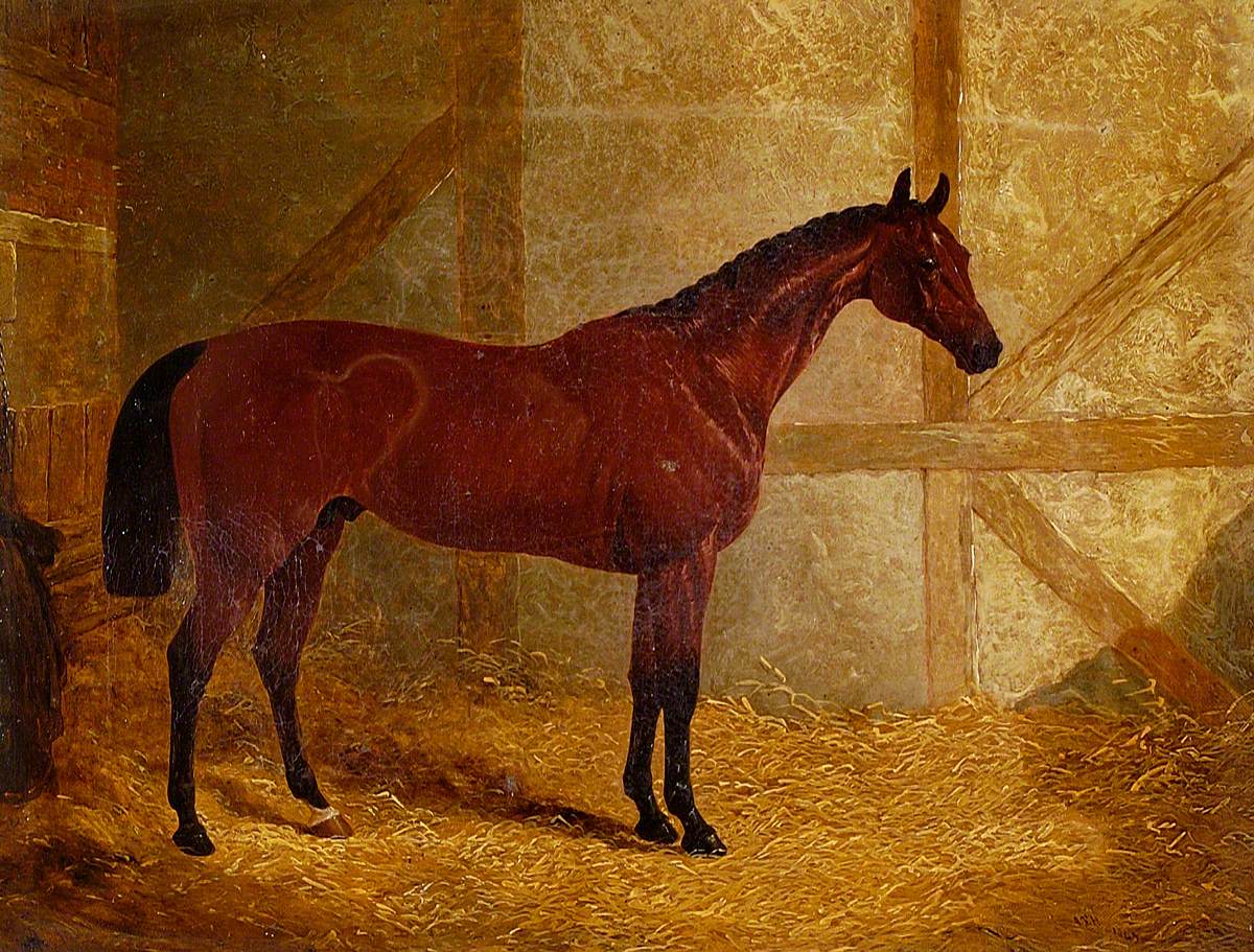 Cotherstone, Winner of Derby | Art UK