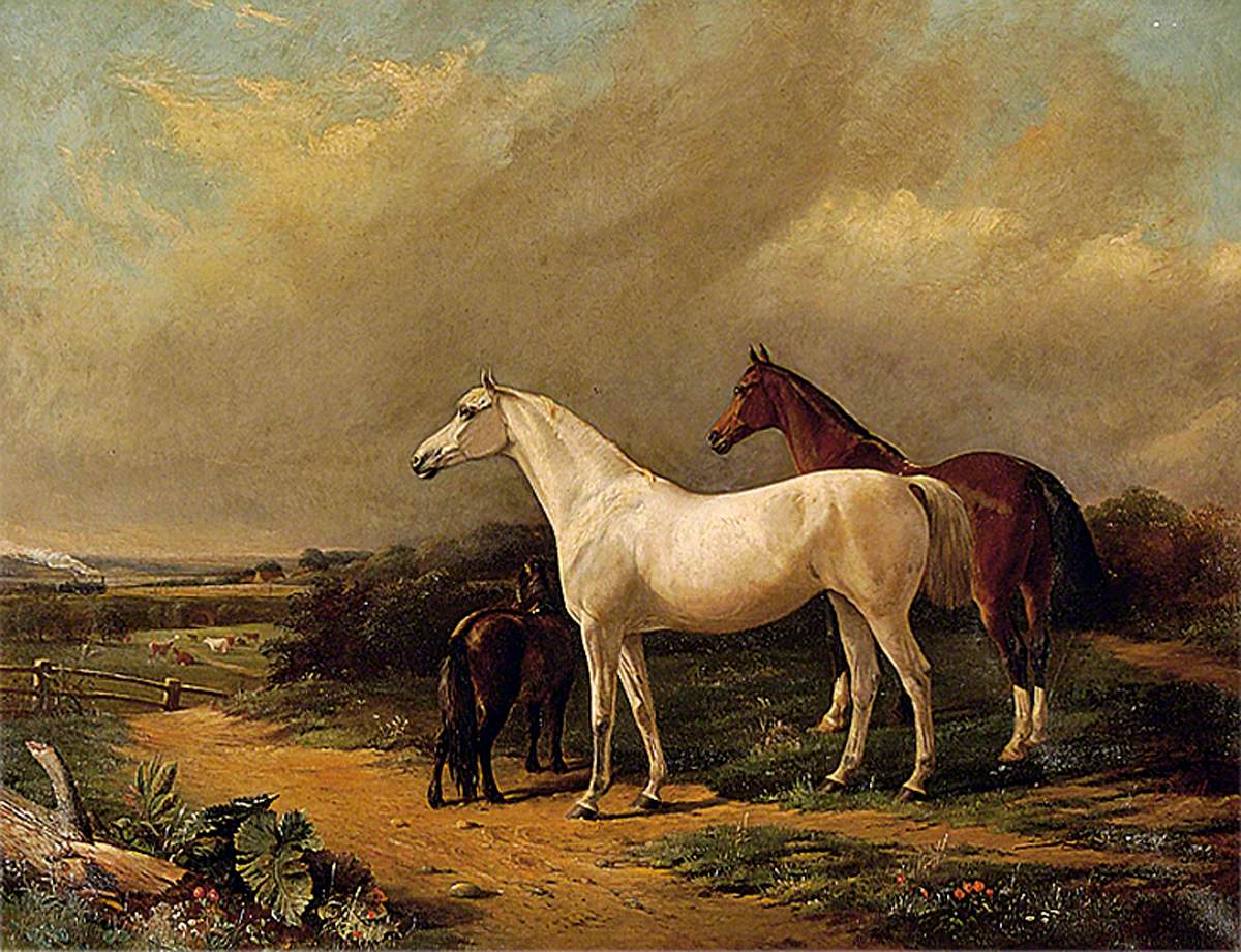 Horses in Stoke Park, Suffolk