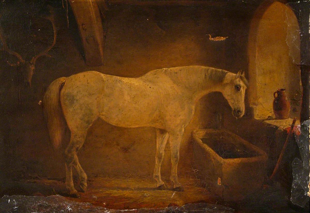 White Horse in Stable