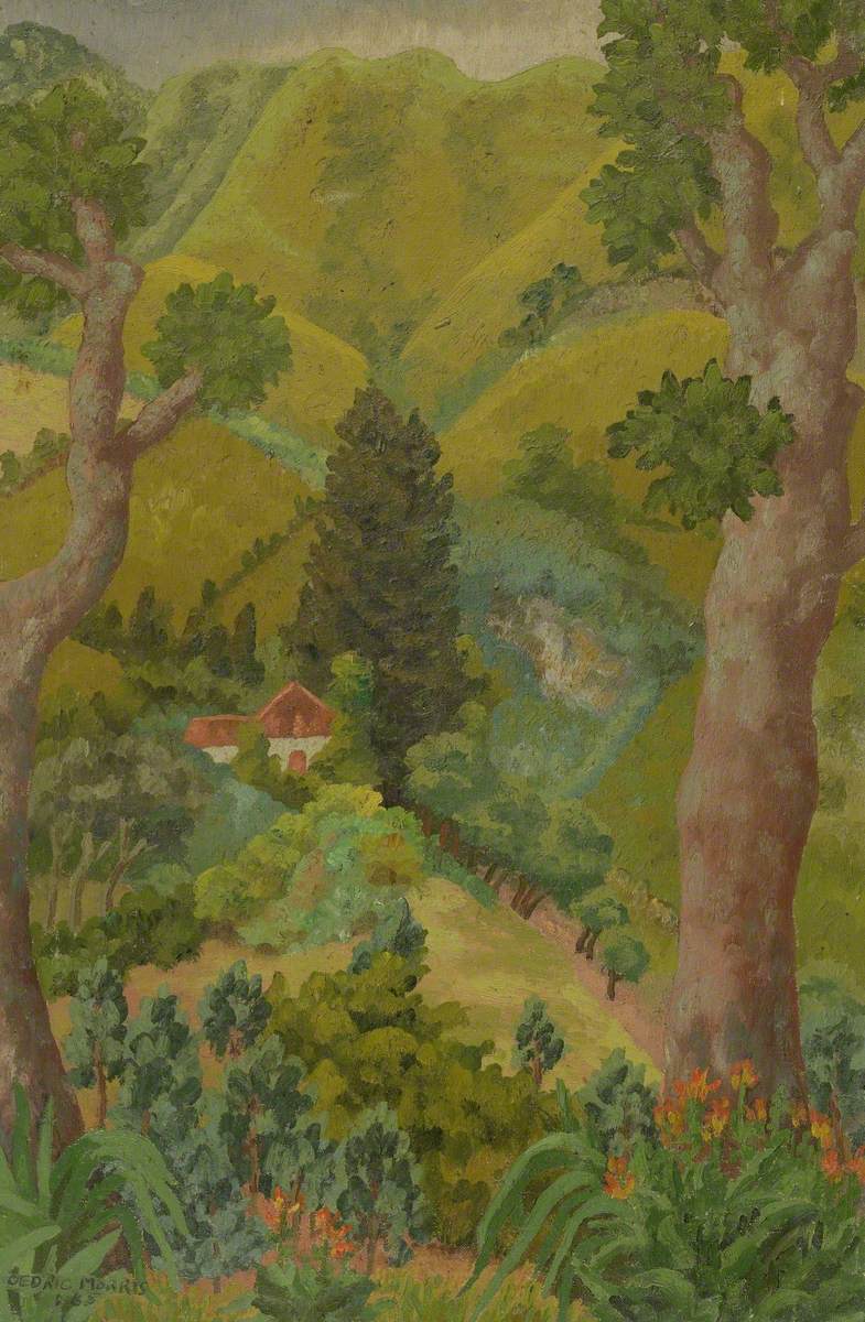 Landscape, St Helena