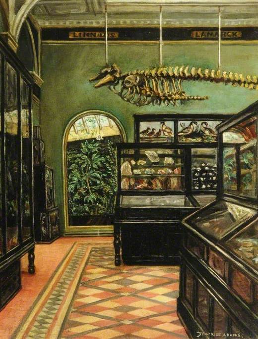 View of the Science Gallery at Weston Park Museum, Sheffield