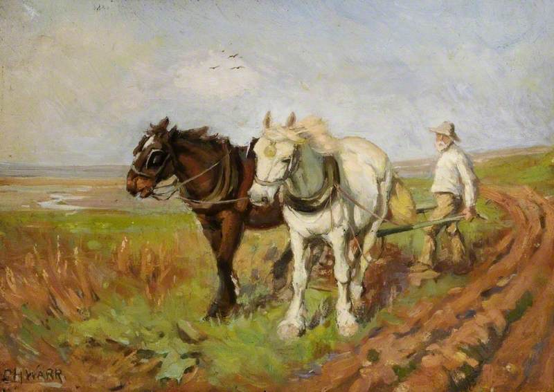 Ploughing Scene