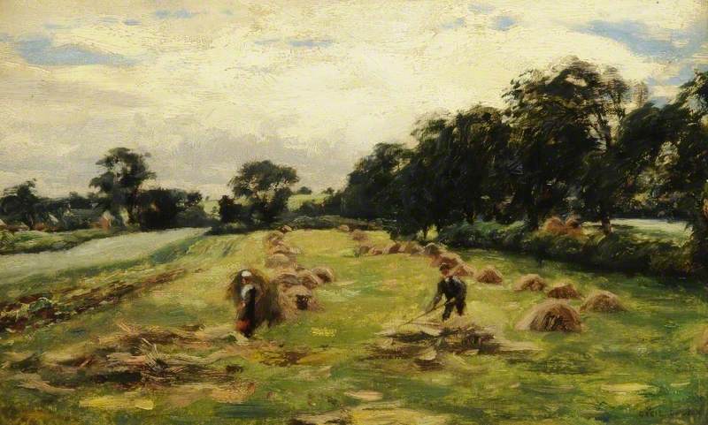 The Hayfield