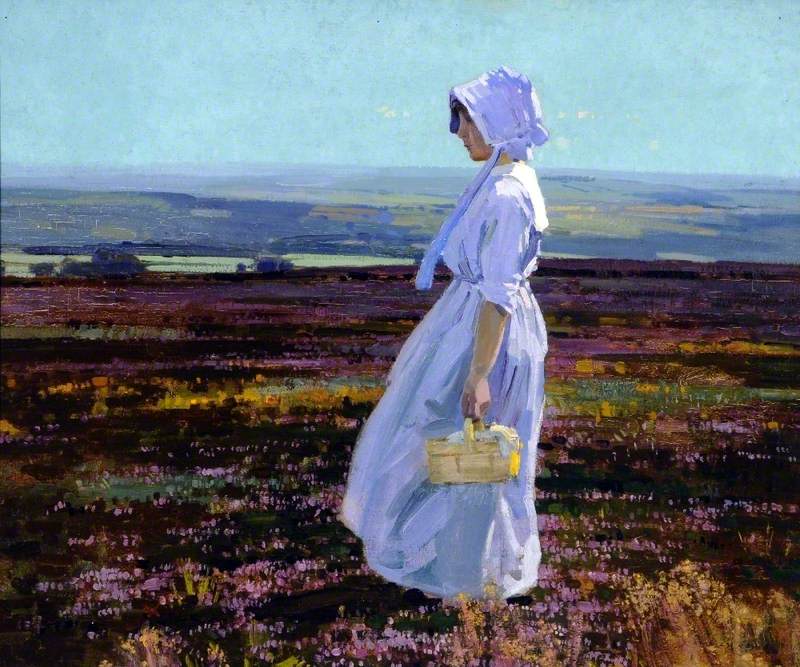 Morning on the Derbyshire Moors