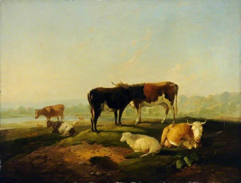 Cattle