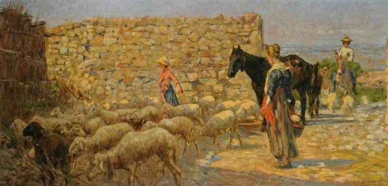 Flock of Sheep