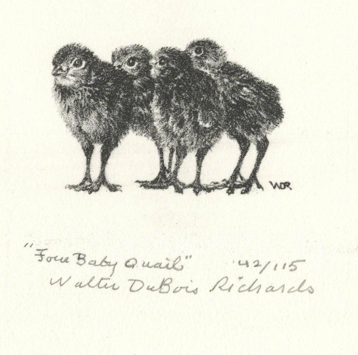 Four Baby Quail | Art UK