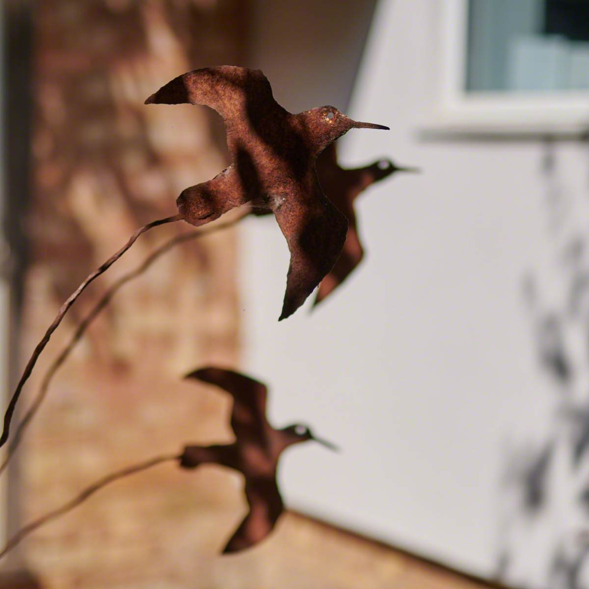 Flying Dunlin Birds