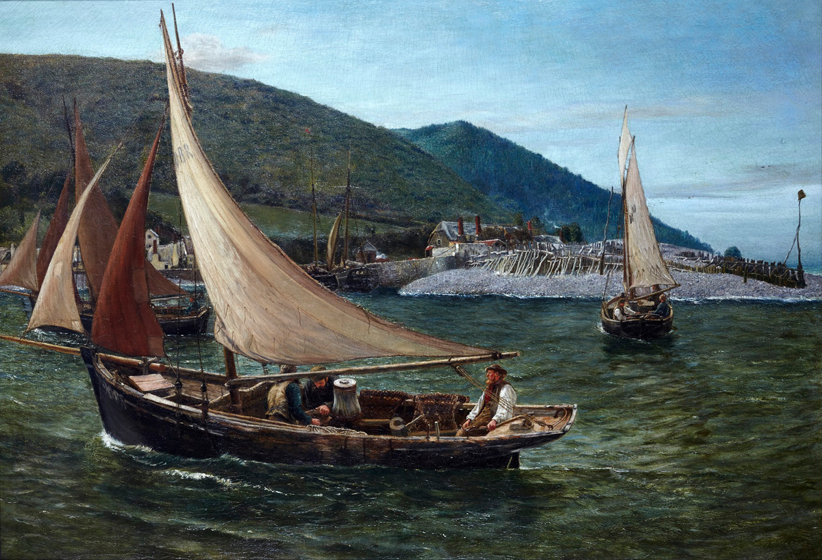 Oyster Dredgers at Porlock Weir