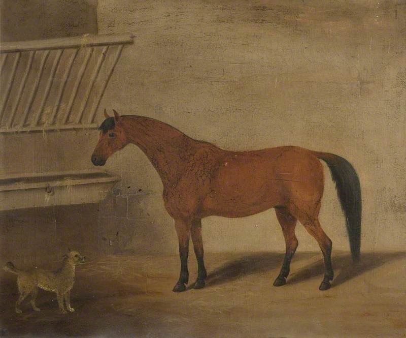 Horse and Dog Belonging to James Scarlett