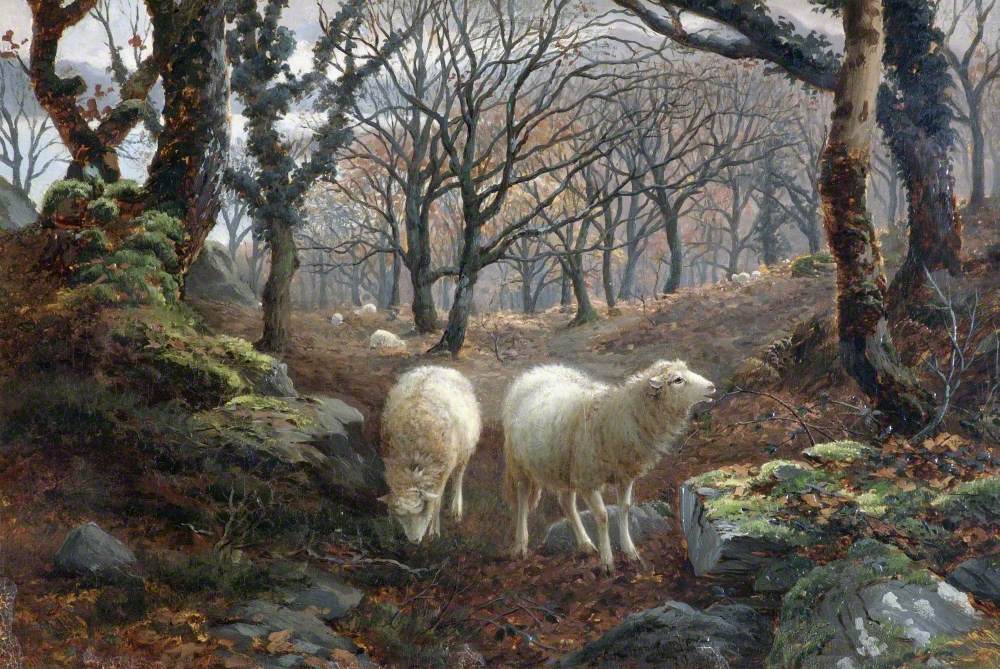 Sheep on a Wooded Hillside
