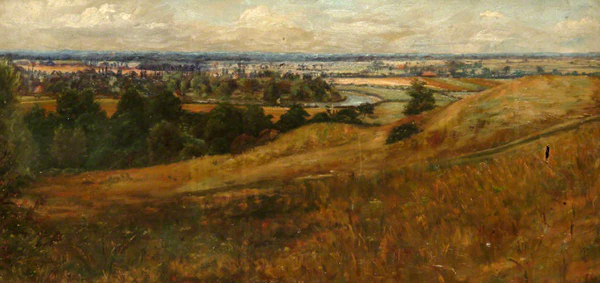 View from Cooper's Hill, Surrey