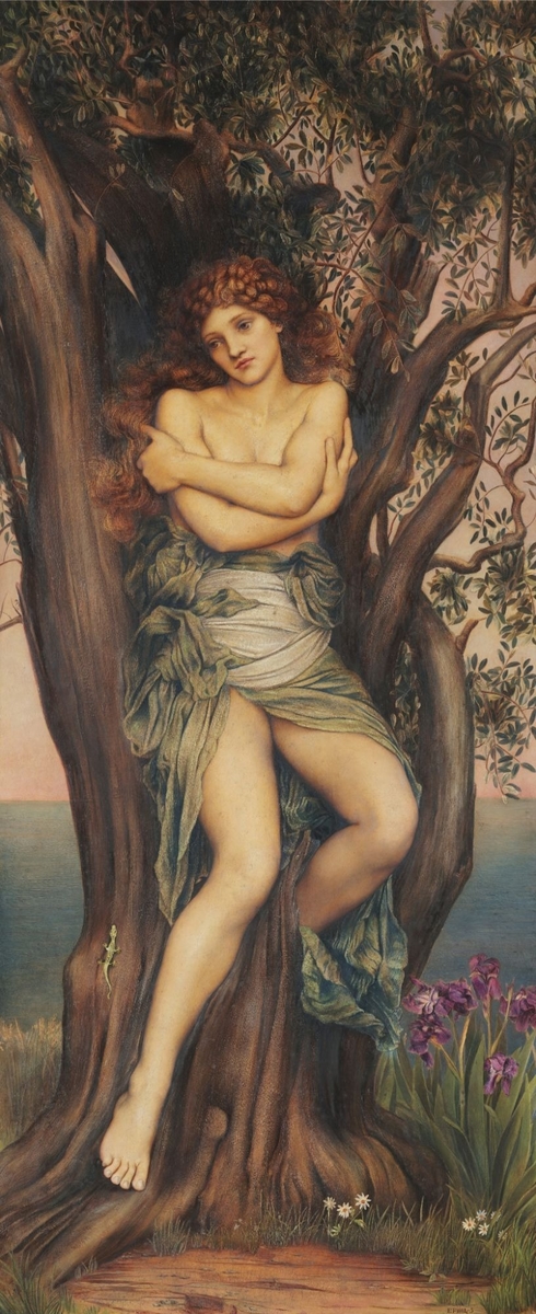 The Dryad