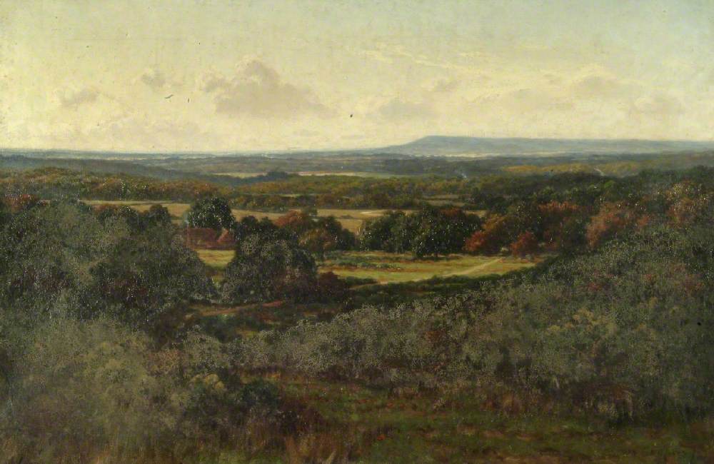 Blackdown from Hascombe