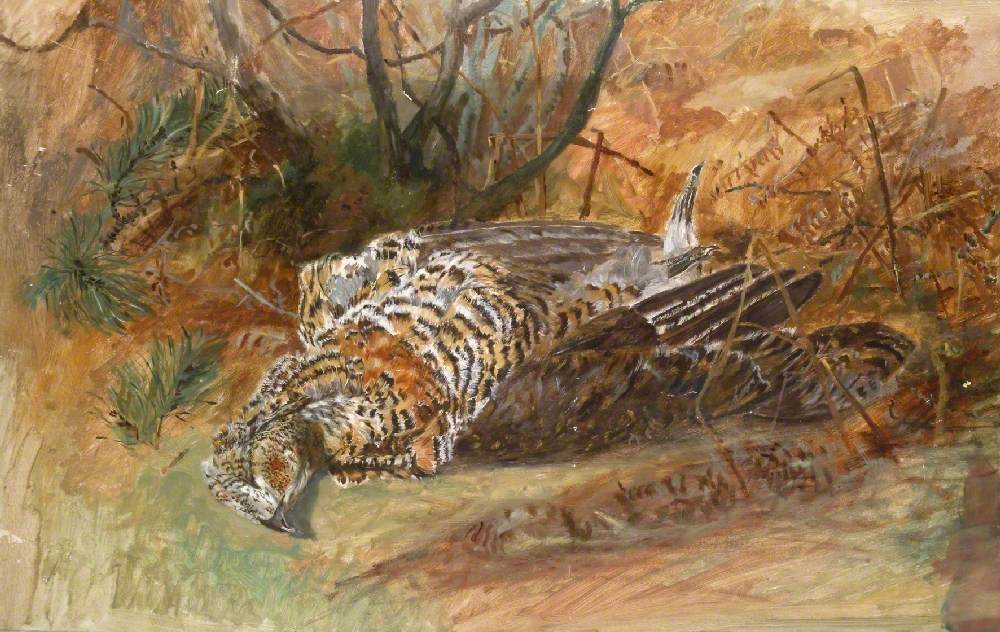 Study of Dead Game Bird