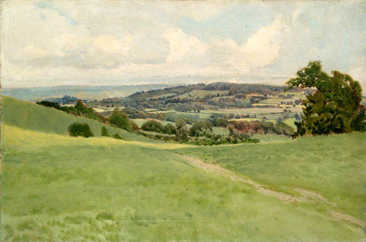 View of North Downs in East Surrey